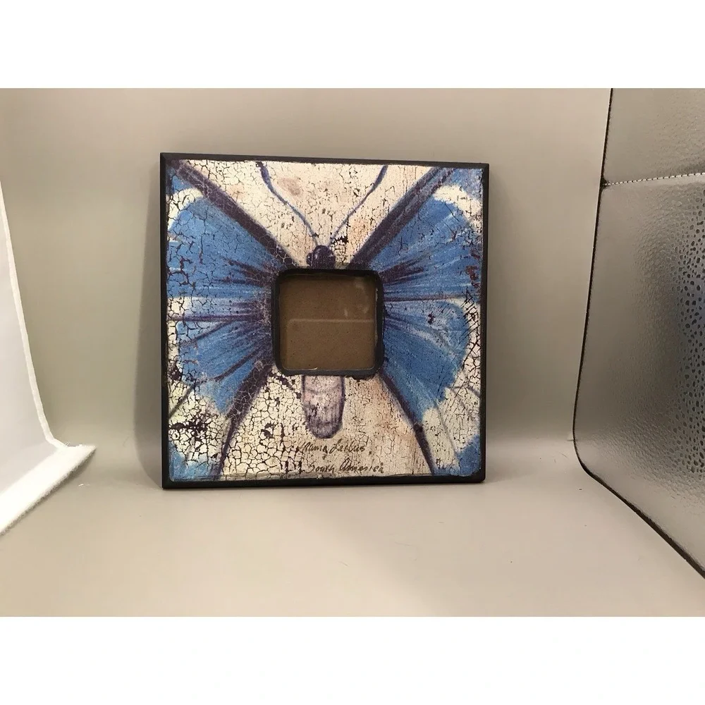 Picture Frame From South America Butterfly 2.5x2.5‎ Picture Opening 8x8 Frame